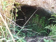 iara Scorciavacca-20110306 041